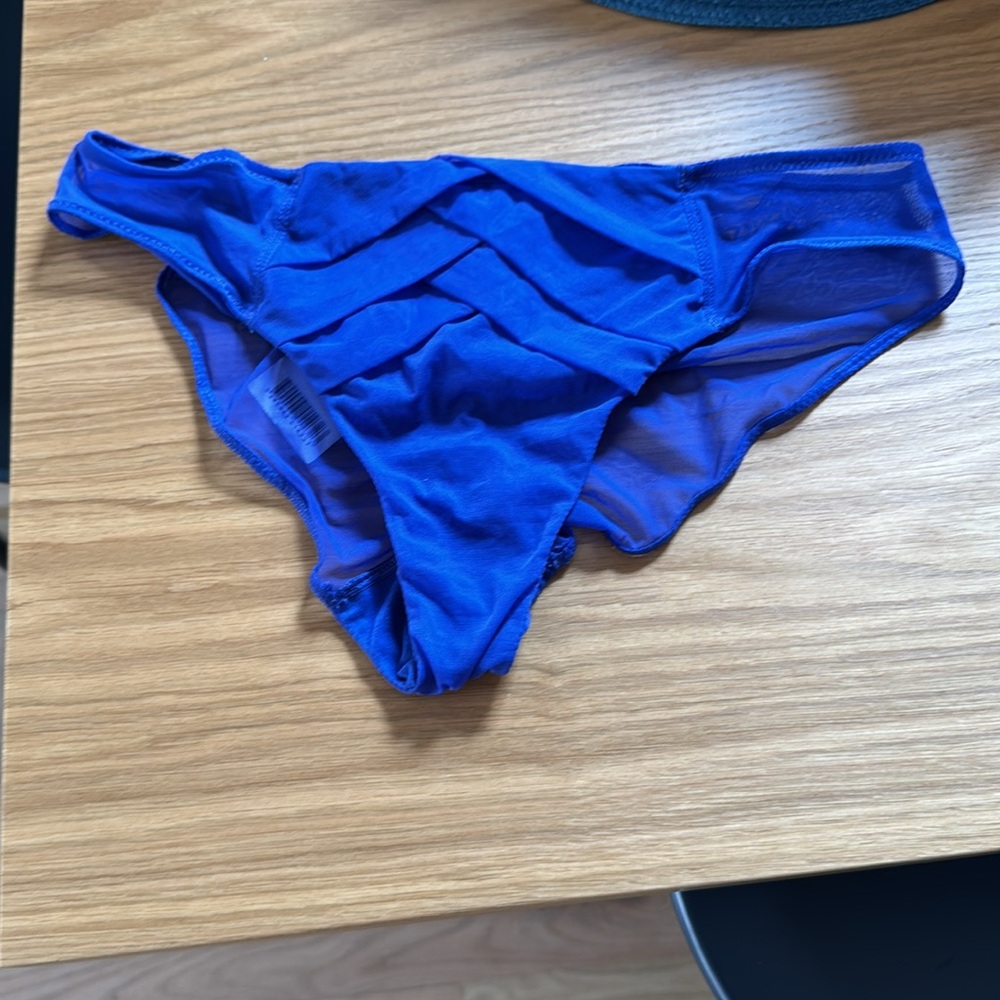 Vibrant Blue Sheer Panties